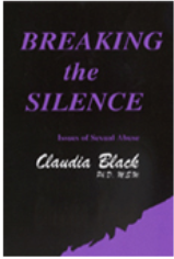 Breaking the Silence DVD